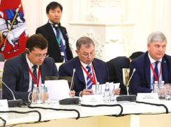 Как воронежский губернатор крепил связь с японцами в Москве