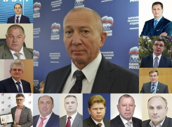 Сколько заработали депутаты «чертовой дюжины» Воронежской облдумы