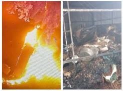 «Одно слово - ублюдки»: поджигатель приюта «Дора» засветился на камерах в Воронеже