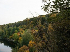 Легендарная страна станет объектом воронежского культурного наследия