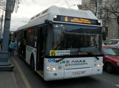 Бастовавших маршрутчиков мэрия Воронежа оставила без работы