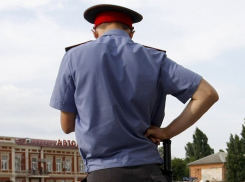В Воронеже будут судить мужчину, полезшего в драку с полицейским