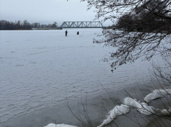 Первых смелых рыбаков заметили на тонком льду Воронежского водохранилища