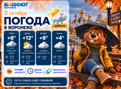Готовимся к холодам: прогноз погоды в Воронеже