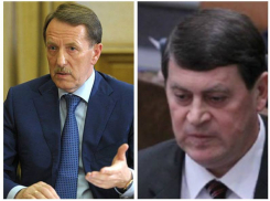 Правозащитник: Губернатор Гордеев рассказал, что сделает с Макиным после расследования громкого уголовного дела