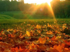 Сентябрь будет гореть на рабочей неделе в Воронеже 