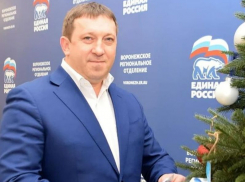 Те, кто участвовал в военных преступлениях, должны быть наказаны, - воронежский депутат о событиях на Украине