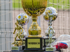 «Кубок Юрия Хоя» разыграли в Воронеже