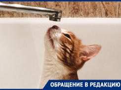 «Никому этот дом не нужен»: есть место, где воронежцы уже сутки живут без воды 
