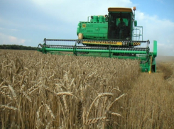 В Воронежской области в 2013 году планируют собрать 3,5 миллионов тонн зерна