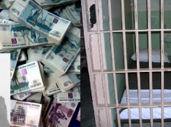 В Воронеже мошенник, который обманул пенсионеров на 78 тысяч рублей, отсидит в тюрьме 3 года