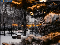 Какая погода ждет воронежцев в начале зимы