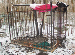 Самодельный шалаш бомжей на могиле сожгли на воронежском кладбище