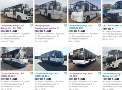 «Автолайн» массово распродает городские маршрутки в Воронеже