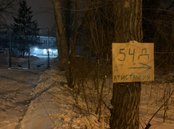 Комичная «атистация» опозорила развитие образования в Воронеже