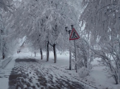 Настоящая зима пришла в город в Воронежской области
