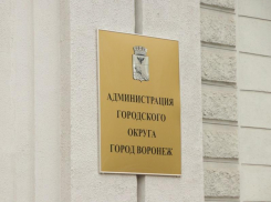 Мэрия Воронежа обильно оросила горожанку текстом, отвечая всего на четыре слова
