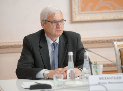 Глава воронежского Роспотребнадзора получил награду от президента России