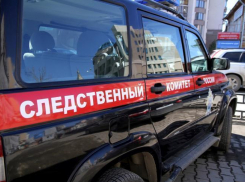 Экс-главе Перлевки урожают расправой последователи «семилукского маньяка»