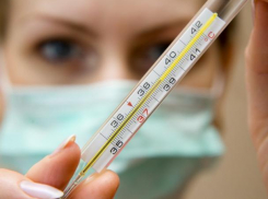 Воронежцы отбросили эпидемию гриппа в первую неделю нового года