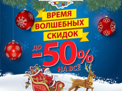 Воронежцам рассказали, как выбрать аксессуар для новогодней ночи в «Империи сумок» 