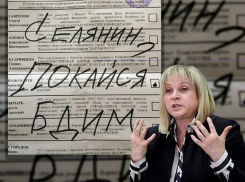 Расследование Эллы Памфиловой вскрыло «золотой парашют» фальсификатора Владимира Селянина
