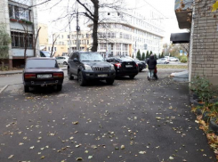Воронежцы сдают в ГИБДД «автожлобов», экономящих на парковке