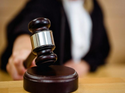 Под Воронежем защита антиникелевых активистов в суде перешла на матерщину