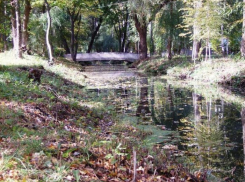 В Воронеже парк «Динамо» за 300 миллионов рублей будет реконструировать московская компания