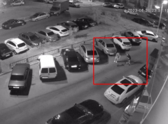 Пусть им станет стыдно: опубликовано видео неприглядного поступка в Воронеже 