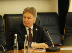 Спикер Владимир Ходырев засекретил посещаемость гордумы воронежскими депутатами