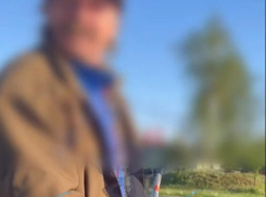 «Два рубля или разобью лобовое»: странный диалог попал на видео в Воронежской области