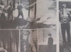 Что в 90-е годы подразумевала газета под «Купанием красного петуха» в Воронеже