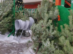 Стало известно, когда в Воронеже начнут работать елочные базары
