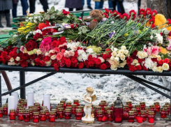 Правительство Воронежской области не объявило траур из-за трагедии в Кемерове