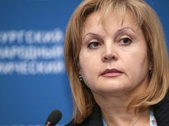 Омбудсмен Элла Памфилова посмотрит, как живут беженцы в Воронеже и как себя чувствуют Савченко