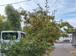 Знаки-"партизаны» обнаружили в Воронеже