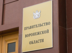  Правительство прокомментировало введение нерабочих дней на территории Воронежской области