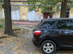 Царская парковка у подъезда разозлила жительницу Воронежа 