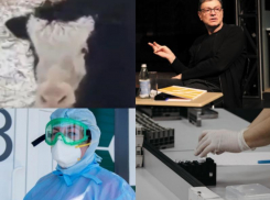 Коронавирус в Воронеже 16 февраля: +4220 больных, новорожденный Омикрон и оправдания Бычкова