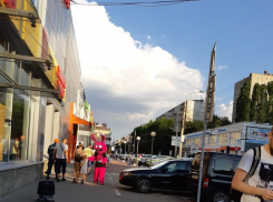 Кролики из секс-шопа раздают рекламные флаеры детям в Воронеже 