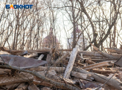 Снос старинной усадьбы Олениных под Воронежем привел к уголовному делу