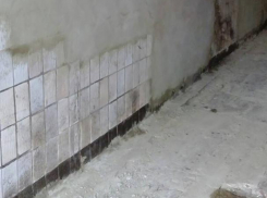 Стало известно, когда в Воронеже откроют сгоревший переход 