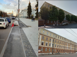 Как из-за велодорожки-убийцы мэрия решила уничтожить все взрослые деревья на проспекте Революции