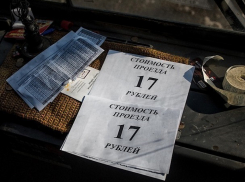 Проезд в Воронеже подорожает до 17 рублей
