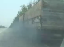 Подкоптившего воронежскую трассу убийцу экологии сняли на видео