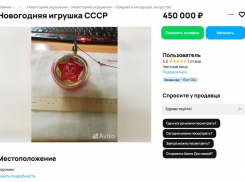 Почти за полмиллиона рублей выставили на продажу елочную игрушку в Воронеже