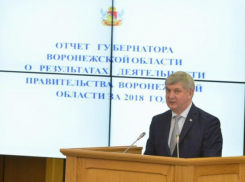 Уровень ВРП Воронежской области наметили дорастить до 1 трлн рублей