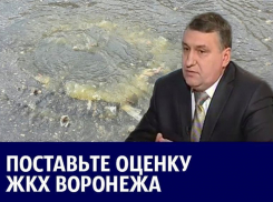 Фекальные гейзеры и «убийство наледью» главного коммунальщика Воронежа: итоги 2017 года