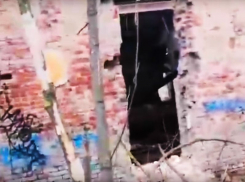 Опасные катакомбы у левобережной администрации сняли на видео в Воронеже